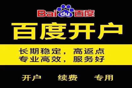 百度推广服务费案例分析：成功背后的秘密