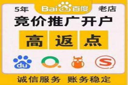 谷歌竞价案例：跨境电商广告投放策略